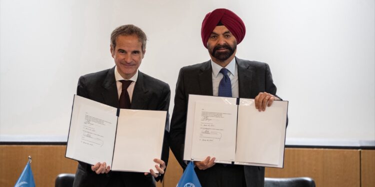 World Bank, IAEA Partner to Boost Nuclear Energy in Developing Nations