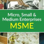 Experts Call for Inclusive Financing to Unlock MSME Potential in Nigeria