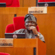 Senator Olamilekan Adeola