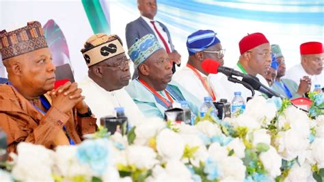 Progressive Governors Pass Confidence Vote in Tinubu