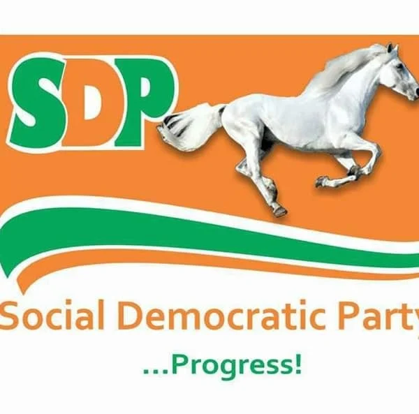 SDP Warns Against Senate Resistance to Real-Time Election Result Transmission