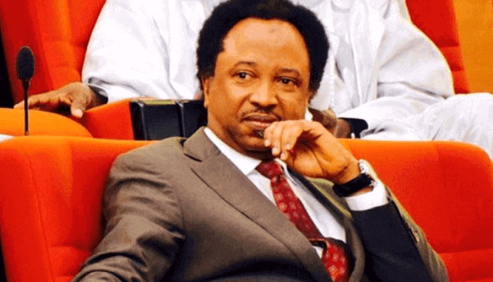 Killings: ‘Anything grows in Plateau except peace’ — Shehu Sani