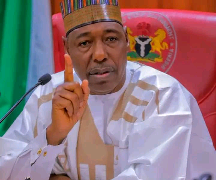 Zulum dissolves Borno executive council