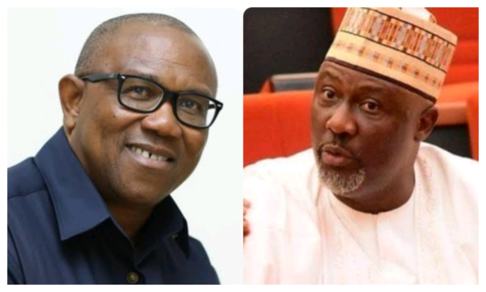 He can only operate in air-conditioned kitchen – Dino Melaye slams Peter Obi